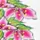 Water Nail Stickers ASNBLE Flowers - M5